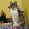 Отзыв от Валентина Старостина